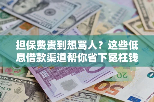济南担保费贵到想骂人？这些低息借款渠道帮你省下冤枉钱