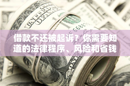 济南借款不还被起诉？你需要知道的法律程序、风险和省钱技巧